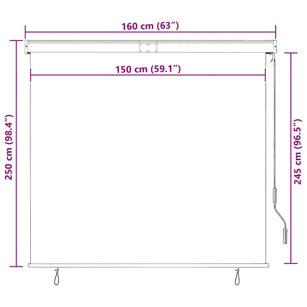 Tenda a Rullo per Esterni 160x250 cm Antracite 145976