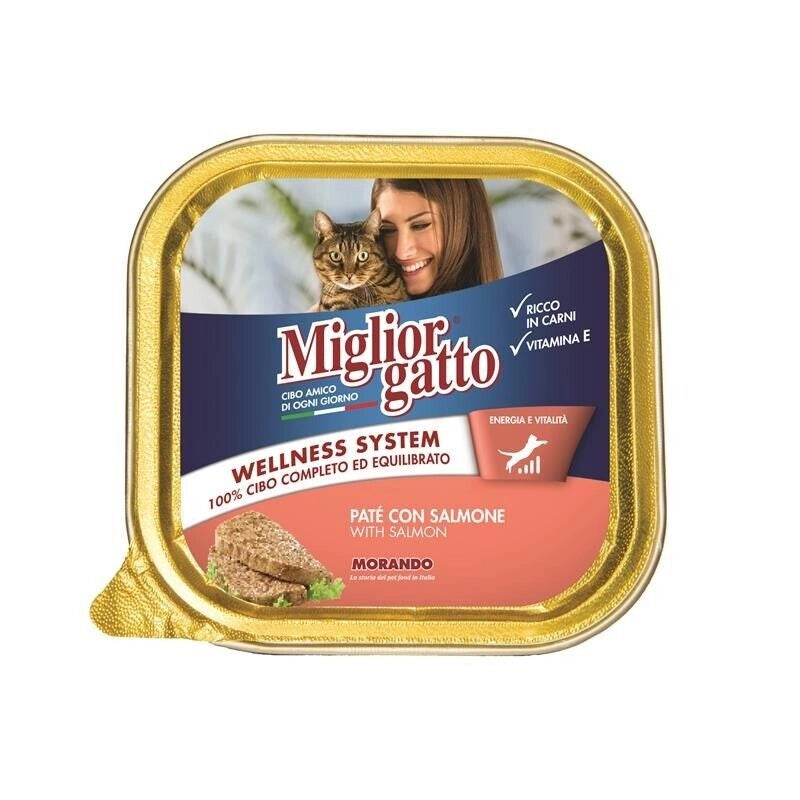 MIGLIOR GATTO PATE' CON SALMONE 100 GR