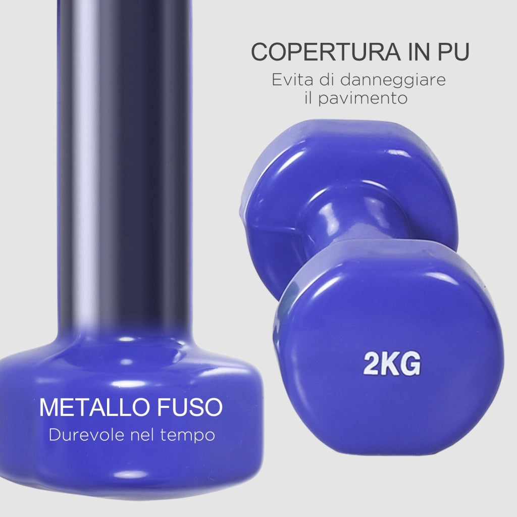 Set Manubri Pesi Palestra 10kg ¨C Minimal ¨C Fucsia Giallo Verde Viola Grigio
