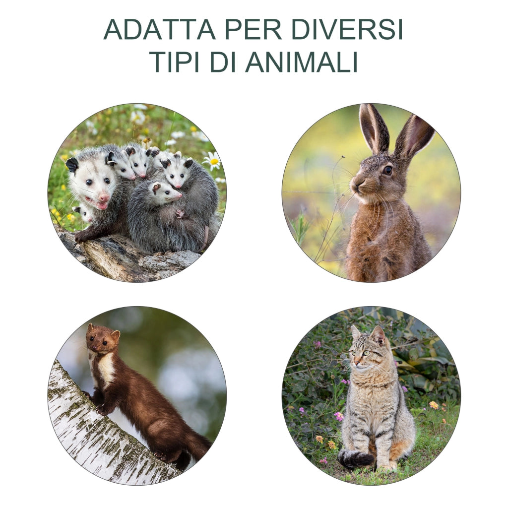 EasyComfort Gabbia Trappola per Animali Vivi Pieghevole in Acciaio, 81x26x34.5cm, Argento