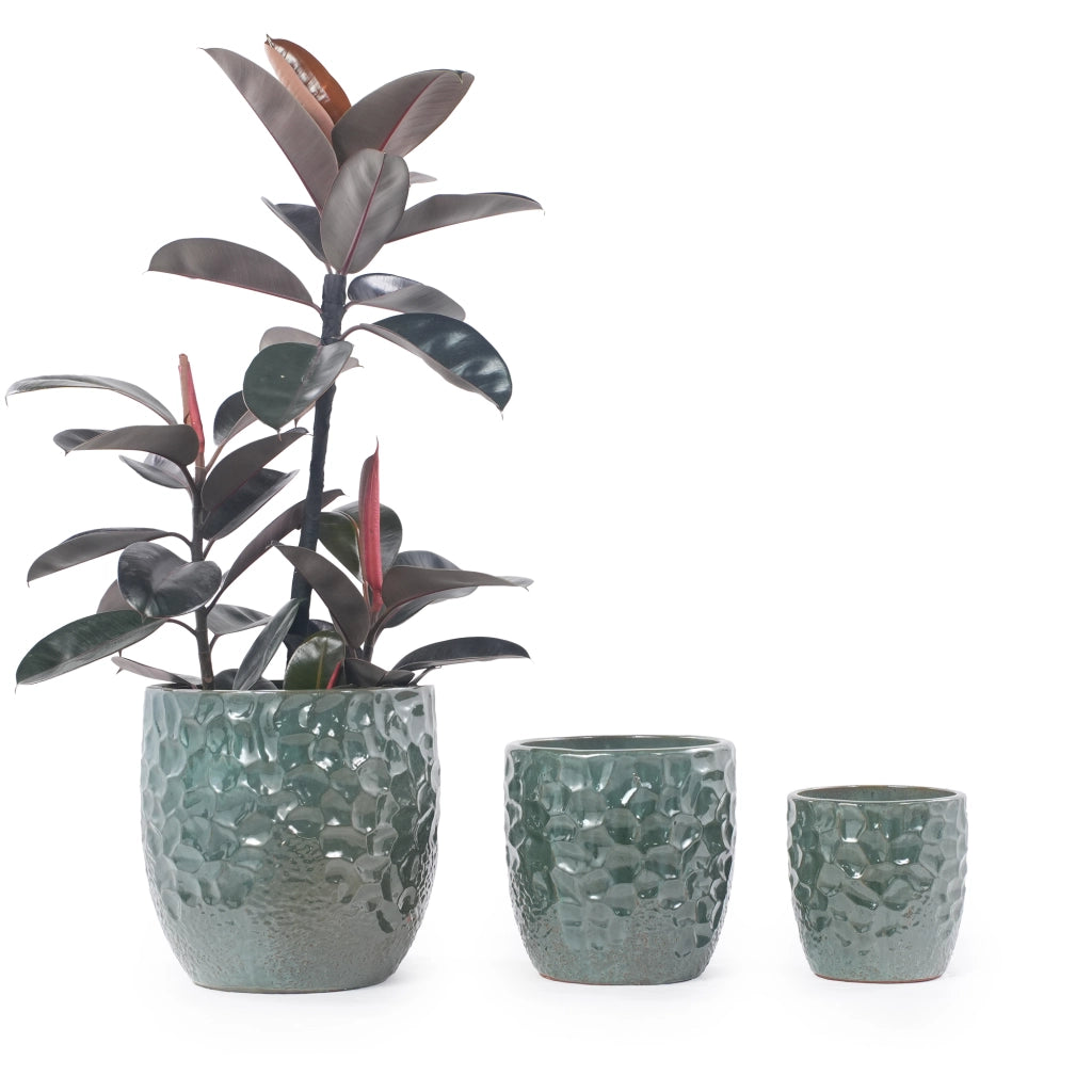 Fioriera con foro di drenaggio in ceramica per erbe aromatiche e piante da interno, verde scuro Ø30 cm