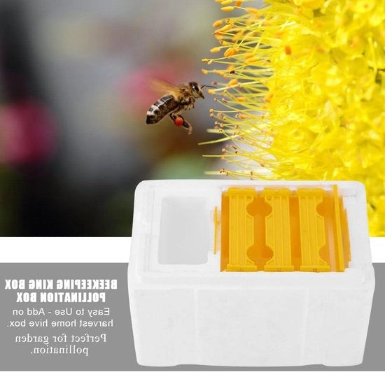 Kit di Avviamento per Api - Raccoglitore di Giardino Agricoltura - Scatola per l'Allevamento delle API - Scatola per l'Impollinazione - Strumento per l'Allevamento delle API - Nido di Api - Attrezzature per l'Apiaria.