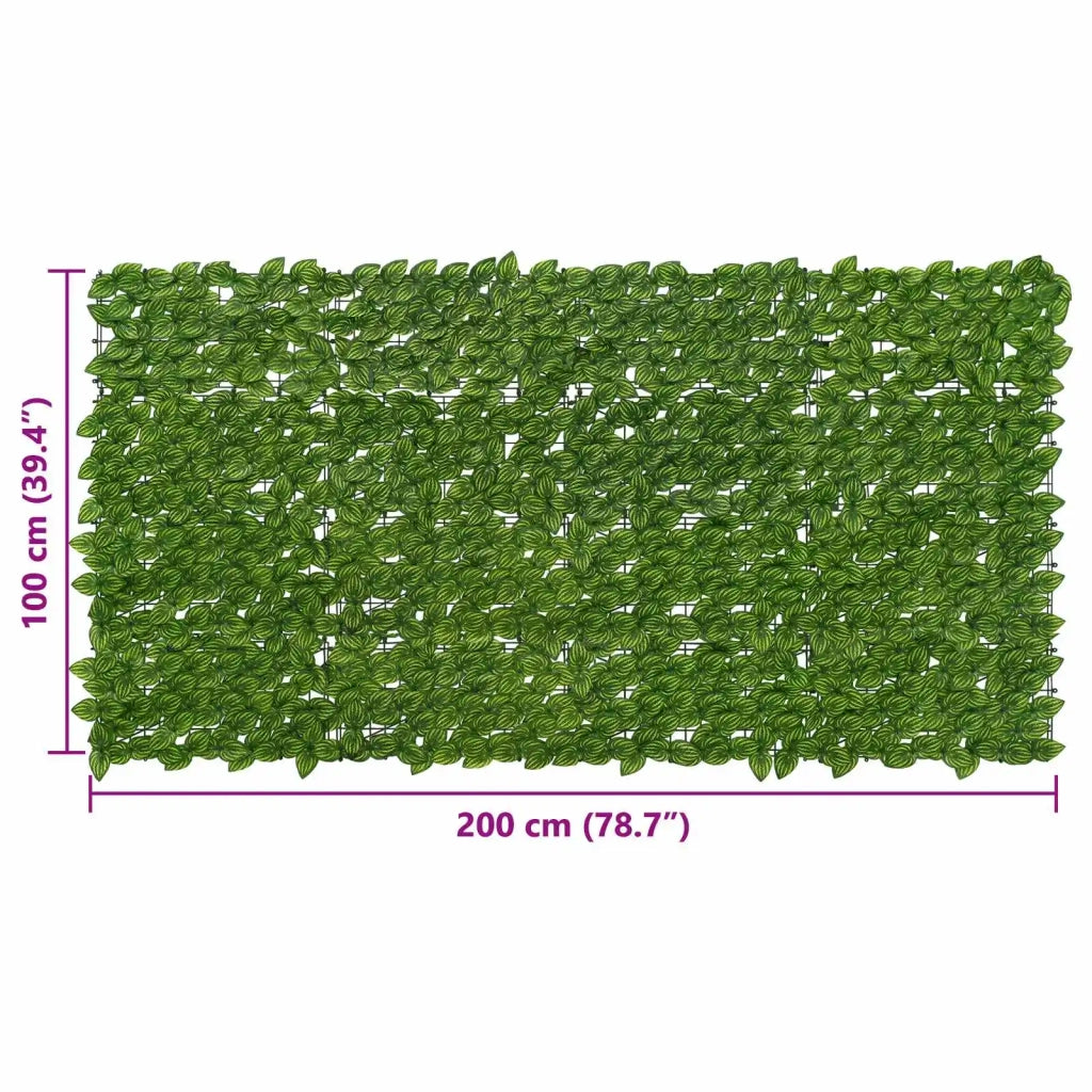 Schermo per balcone con foglie Verde e Giallo 200 x 100 cm 42040642