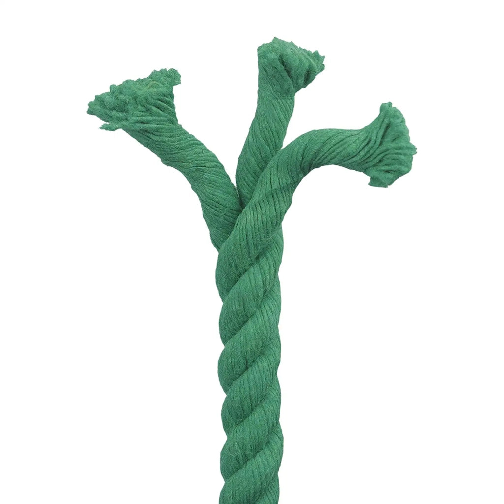 Corda Verde 2 x 2 x 2500 cm Cotone 42011971