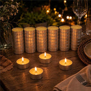 MAXI TEA LIGHT ALLA CITRONELLA 60 PEZZI – CANDELE ANTIZANZARE, DURATA 4 ORE