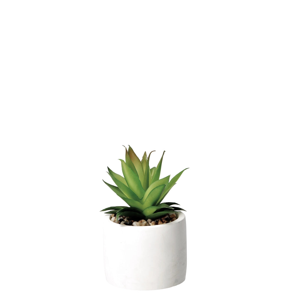 VASO CON PIANTA GRASSA DECORATIVA D.10XH18CM IN 2