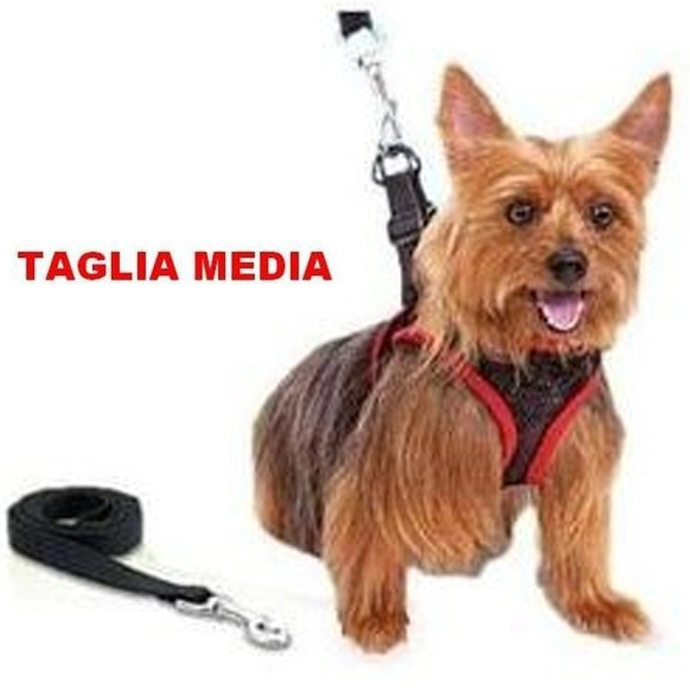 Trade Shop - Elegante Pettorina E Guinzaglio Regolabile Per Cane Comfy Control Taglia Media -