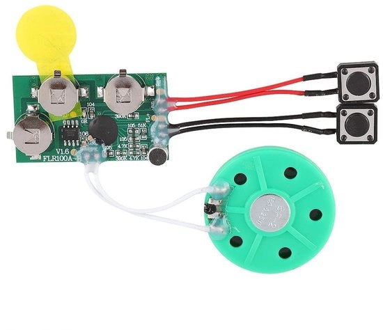 Modulo vocale 120 secondi registrabile - Carta di voce DIY - Modulo audio - Prodotti artigianali - Impostazione facile - Batteria ricambiabile