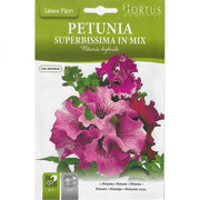 Petunia Superbissima mix DB