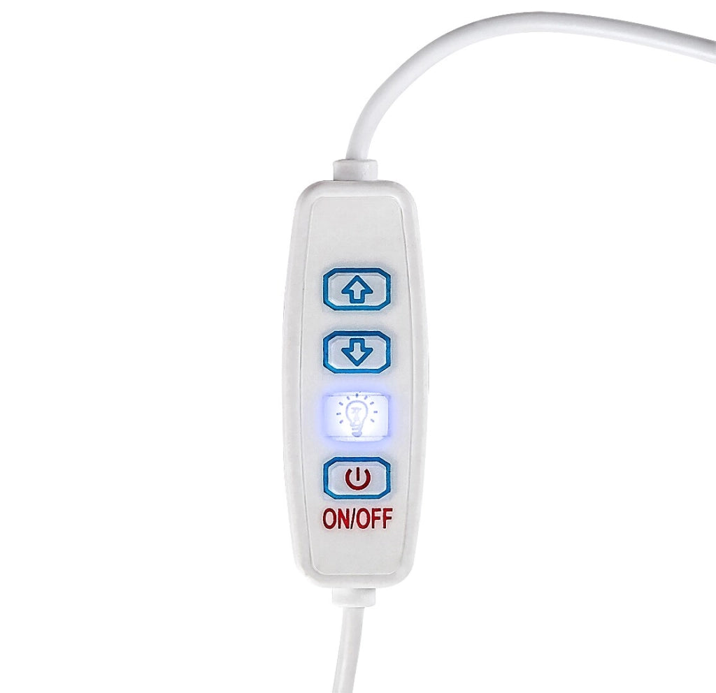 Lampada da tavolo Pirit faggio vetro LED dimmer Rabalux
