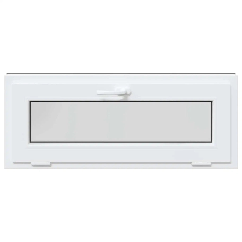 Finestra per Soffitta RISOR 100 x 40 cm PVC e Vetro Antracite 42047306
