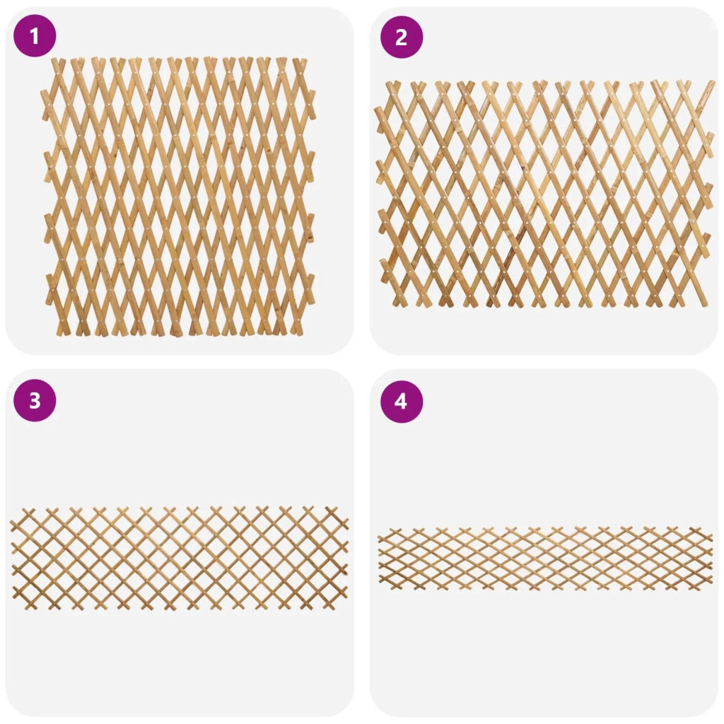 Recinto Trellis Espandibile 2 pcs Marrone Chiaro 100 x 105 cm 42028067