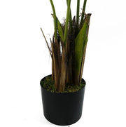 Foglia di Palma Kentia, Tela, 120 cm