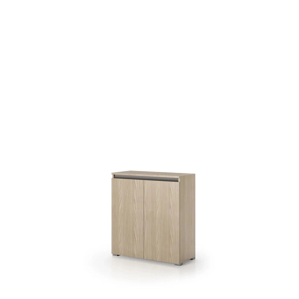 ELEMENTO BOX 80X37XH102CM 2 ANTE OLMO.
