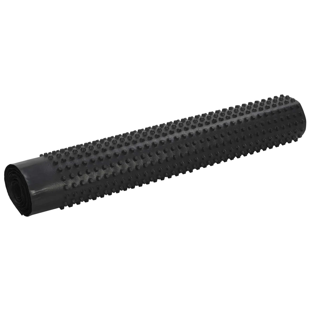 Foglio di drenaggio stampato 2 pcs Nero 1 x 20 m HDPE 42019916