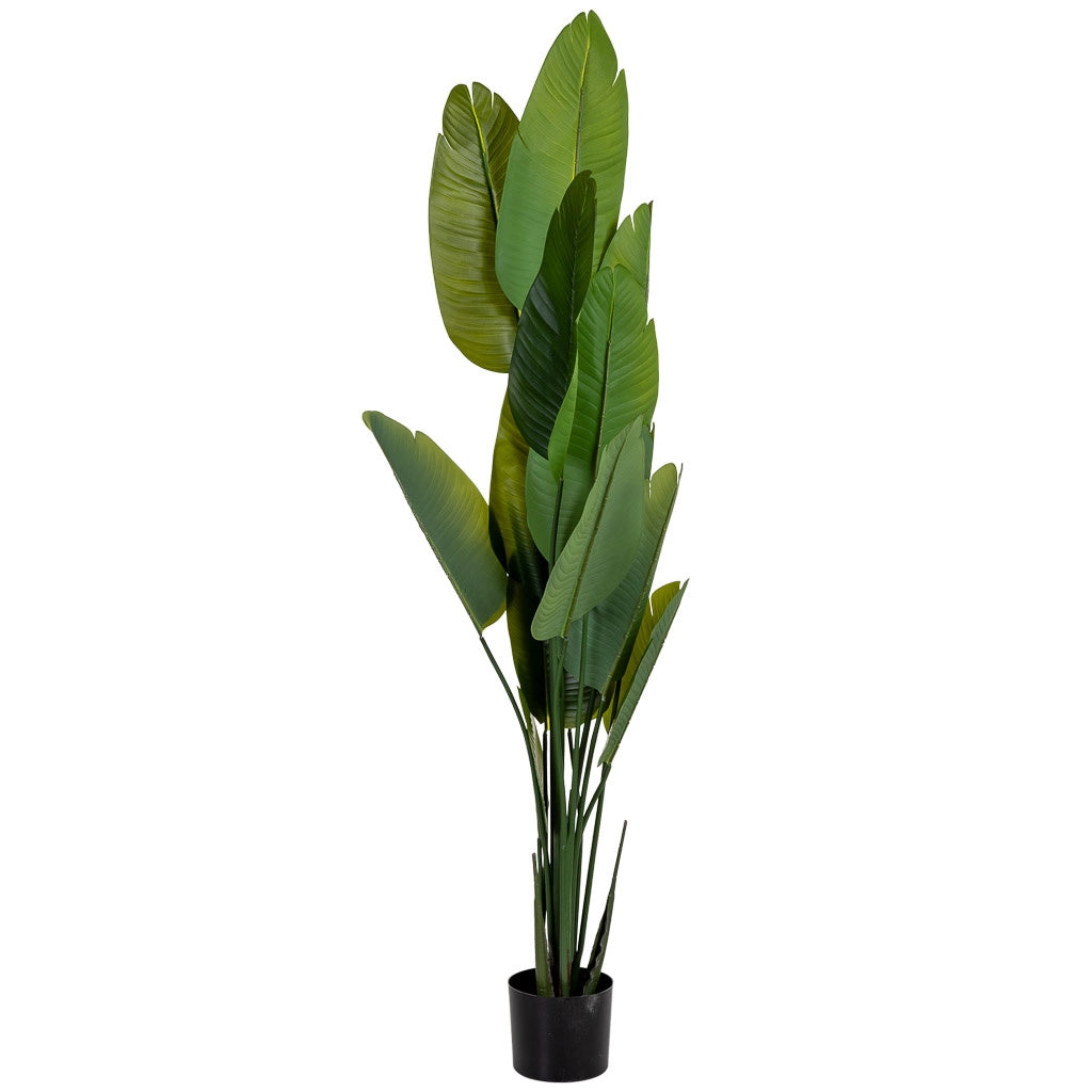 Sterlitzia decorativa artificiale verde 80x80x180