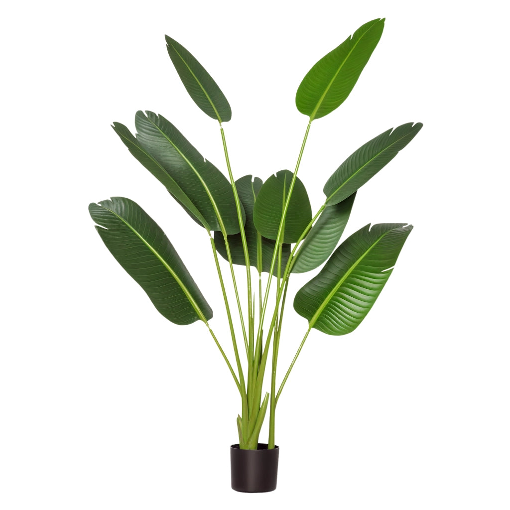 Pianta Artificiale Bananera ¨C Minimal ¨C Verde 160 cm con Vaso