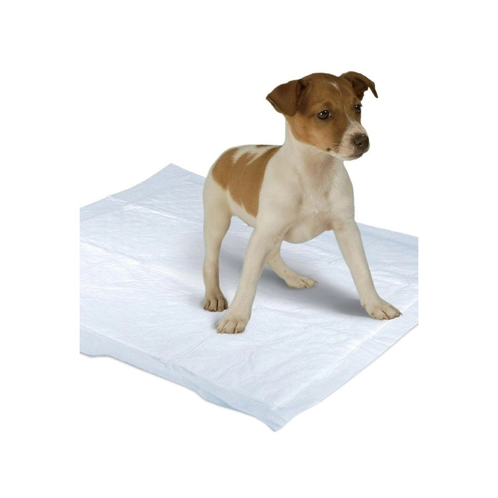 Trade Shop - Tappetini Superr Assorbenti Per Cani Gatti 60x60cm Cuccioli Pannolini Traverse -