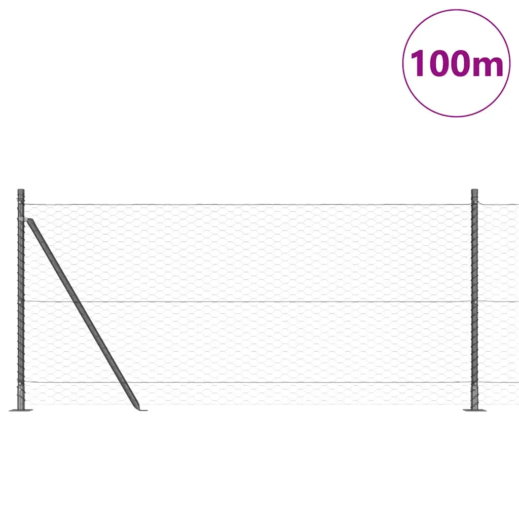 Palo della recinzione Grigio 100 x 0,8 m (rete da 36 mm)