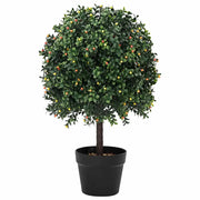 Palla di Bosso Verde 35 x 35 x 50 cm Plastica 42008332