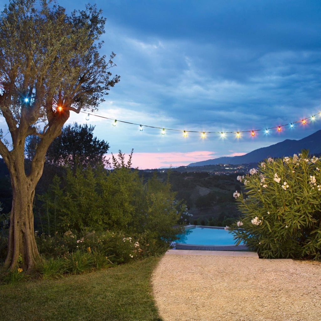 STRINGA ELETTRIFICATA PICNIC NERA 25 LUCI ATTACCO E12 0,3W LUCE ROSSA,GIALLA,VERDE E BLU IP44 762CM
