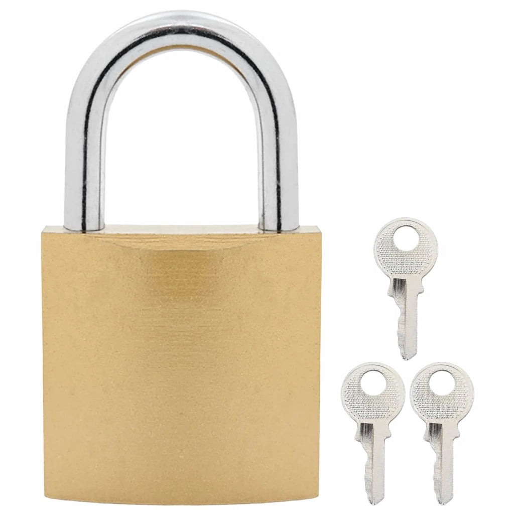 U Lock con Chiavi 100 pcs Ottone Ferro 42021901