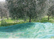 1pz rete per olive antispine   mt. 8x10 cod:ferx.vit24778