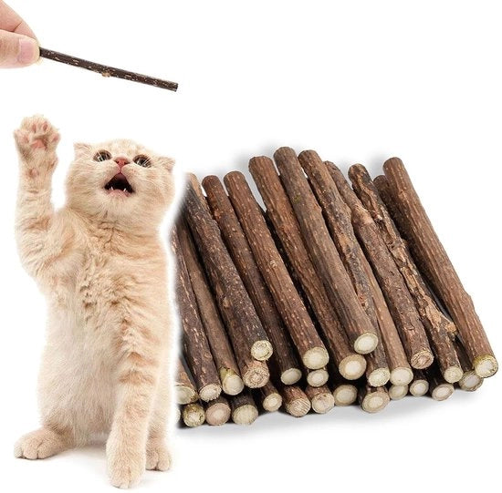 Sticks per il gatto 30 pezzi - Sticks per la cura dei denti naturali - Salute della bocca - Sticks in legno - Sticks rinfrescanti per l'aria