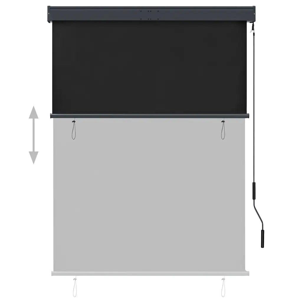 Tenda a Rullo per Esterni 120x250 cm Antracite 145964