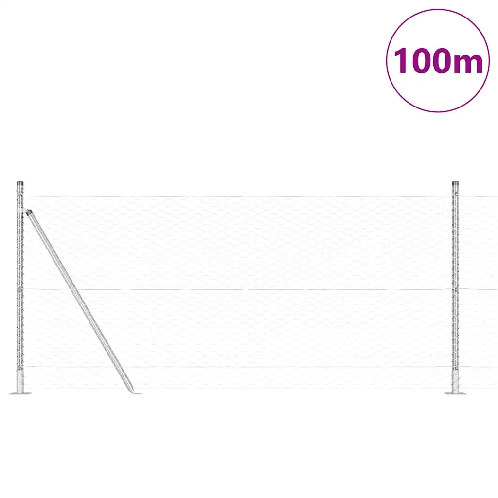 Palo della recinzione Argento 100 x 0,8 m (rete da 36 mm)