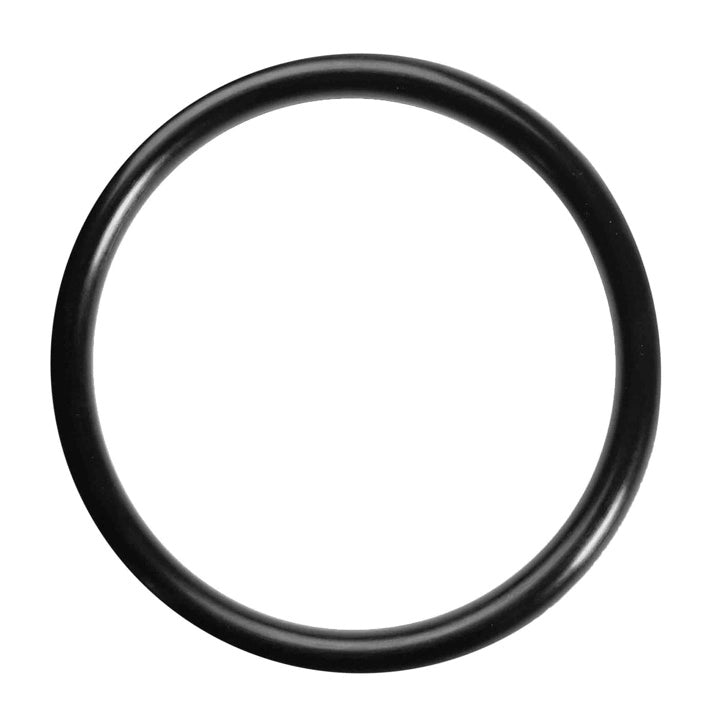 ANELLO O-RING Ø 8,9x1,9 mm - Confezione 100 pezzi