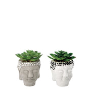 VASO CON PIANTA GRASSA DECORATIVA D.9XH13CM IN 2 C