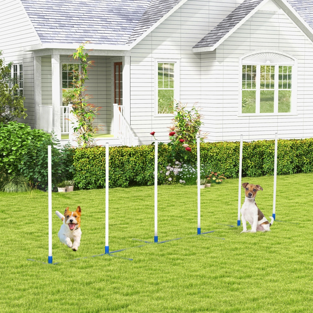 Set Agility per Cani 6 Pezzi ¨C Minimal ¨C Grigio