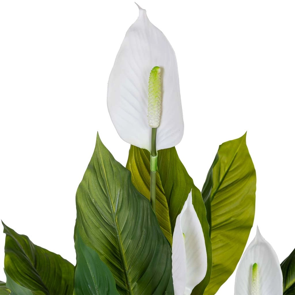 Anthurium artificiale decorativo verde 100x100x125