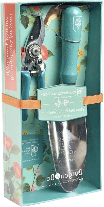 Set di Tazze per Giardino con Manico Rosa