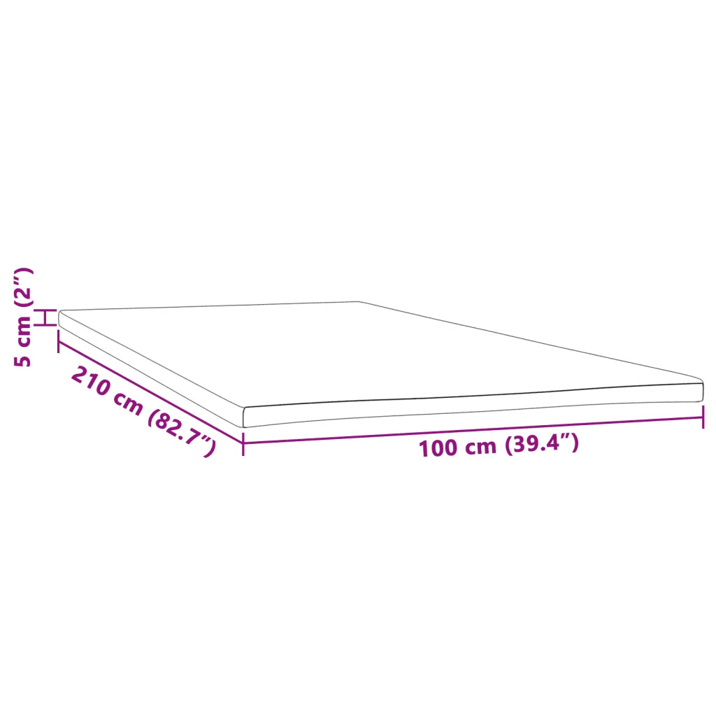 Coprimaterasso 100x210x5 cm 4103491