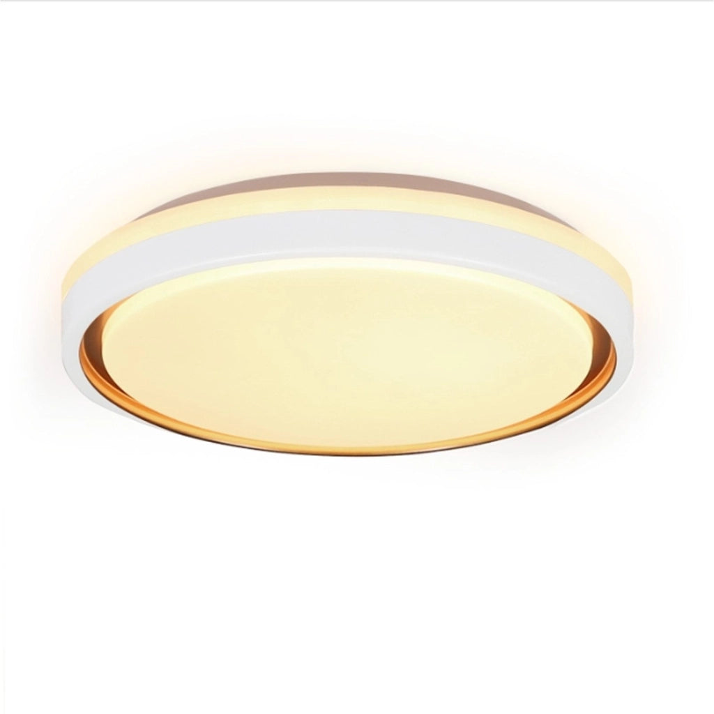ZMH Lampada da soffitto plafoniera LED 30cm design moderno con telecomando
