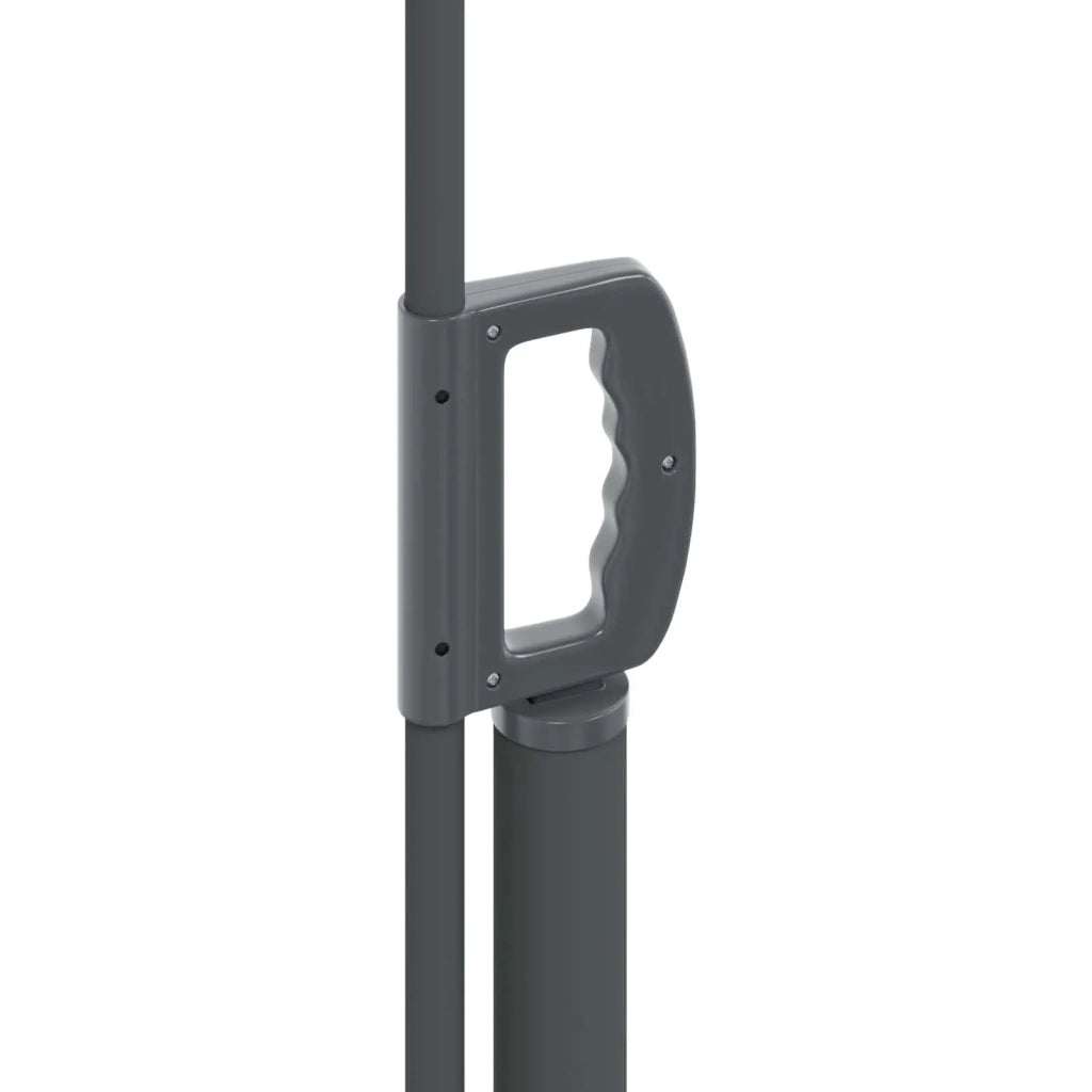 Tenda da Sole | Tenda laterale retrattile Nero 300 x 100 cm Poliestere
