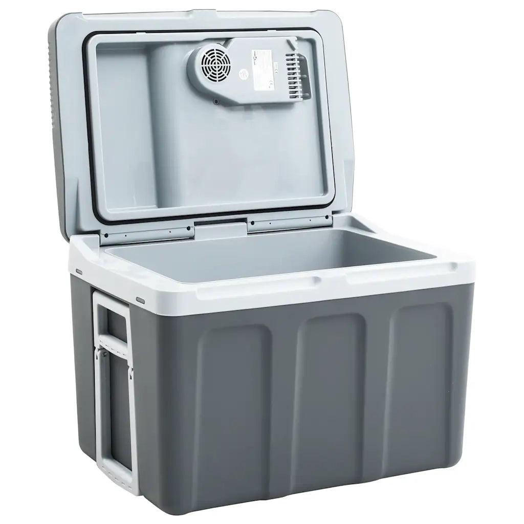 Scatola Termoelettrica Portatile 40 L 12 V 230 V E CFW4390024