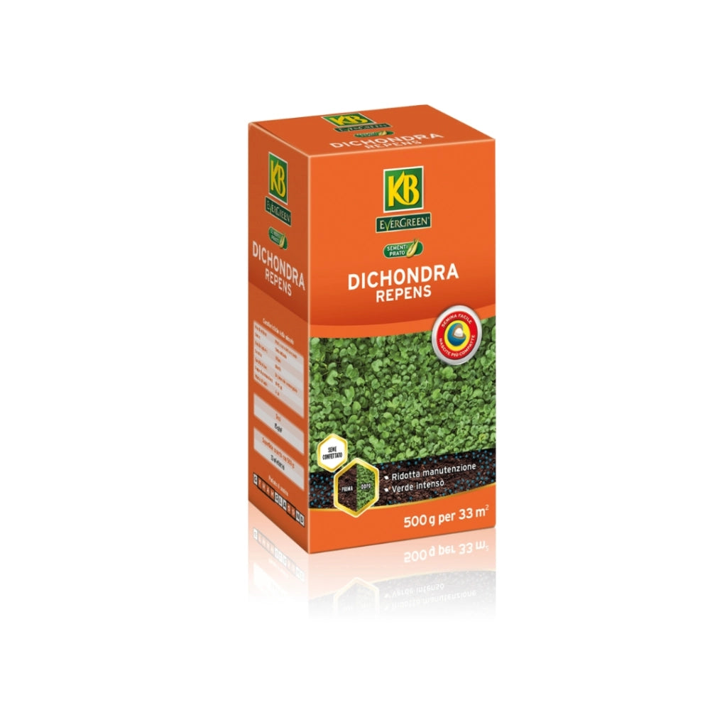 Evergreen Dichondra Repens 100g