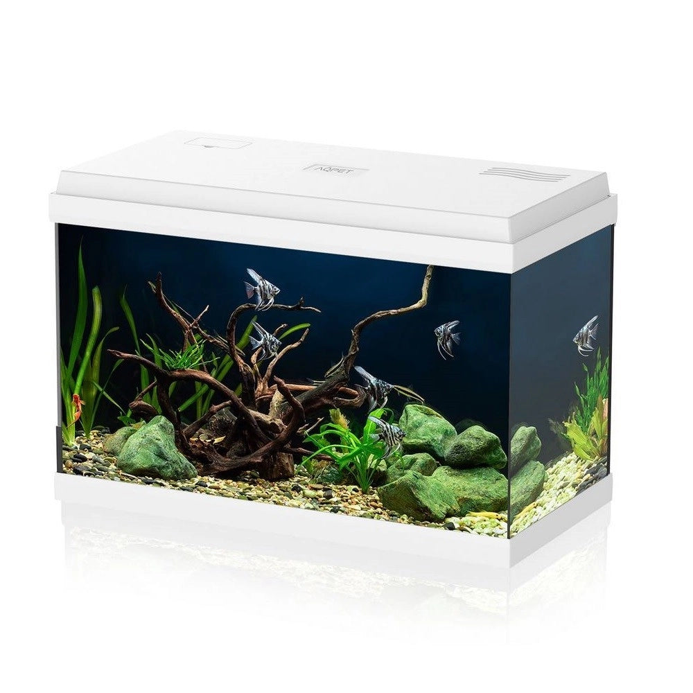 Aqpet Simply LED 60 bianco - acquario cm60x30x39h completo di filtro, illuminazione e riscaldatore