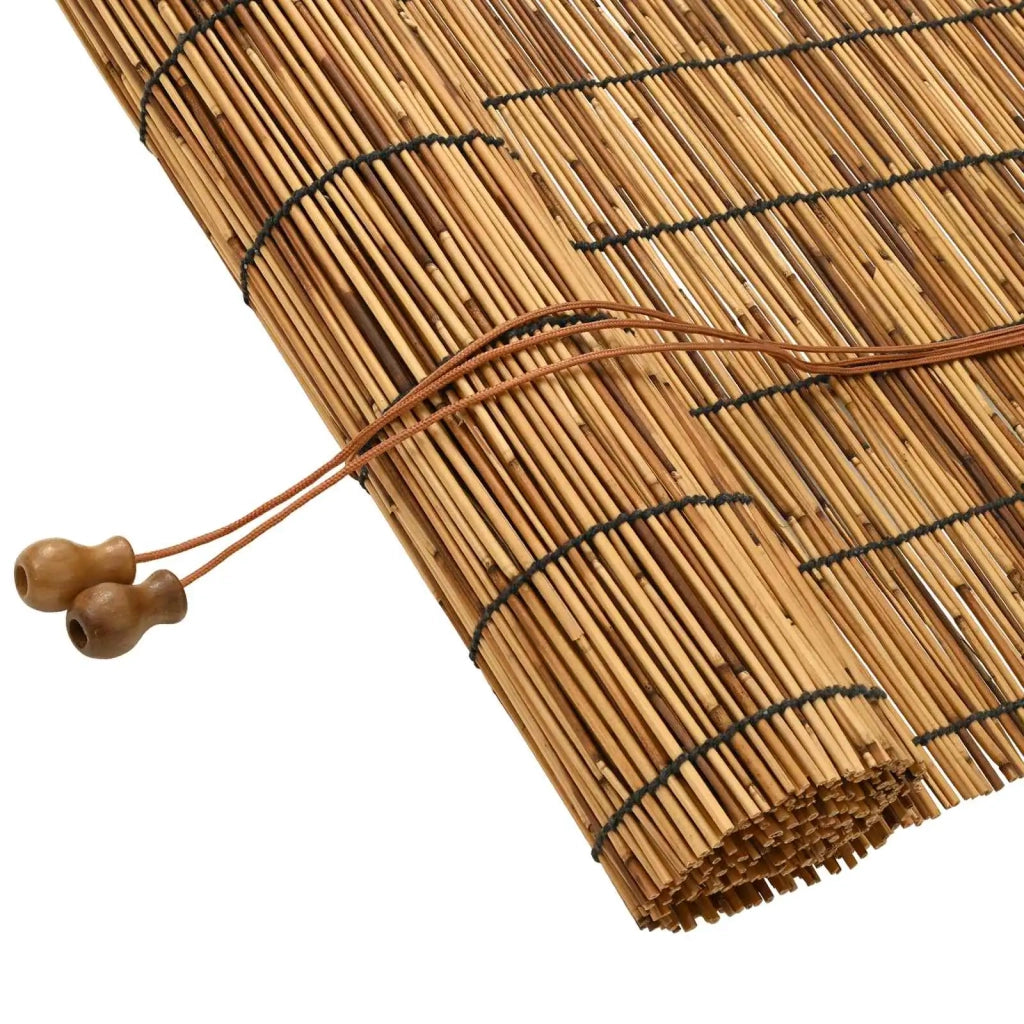 Tenda a rullo Marrone 60 x 220 cm Giunco 42034658