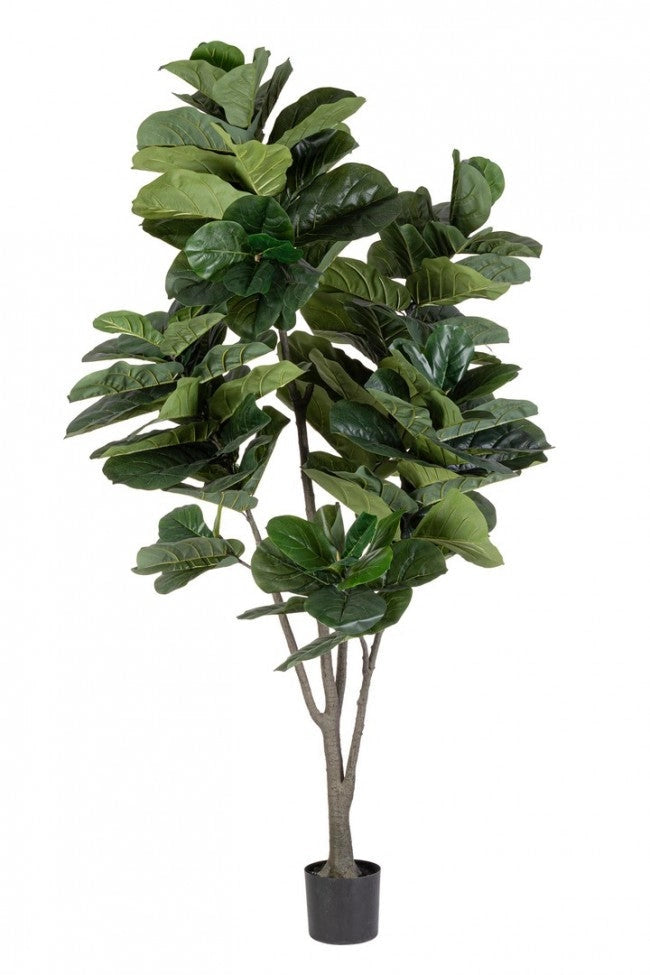 Set 2 Piante Artificiali di Ficus Ø120x230 cm in Plastica con Vasi Verde