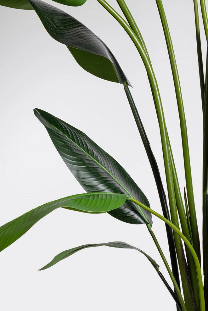 Pianta Artificiale Strelitzia 180x140x310 cm in Plastica con Vaso Verde