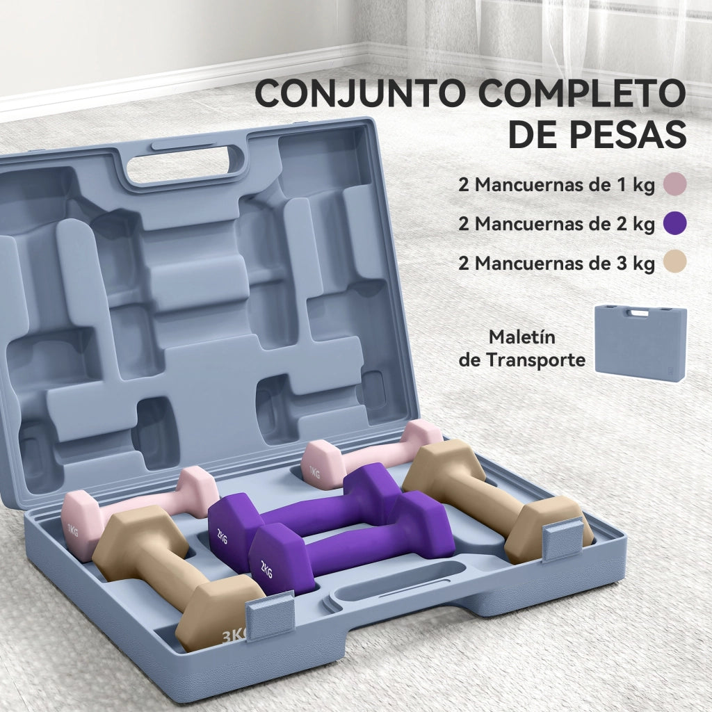 Set di manubri 6 pezzi ¨C Minimal ¨C 1kg 2kg 3kg con custodia
