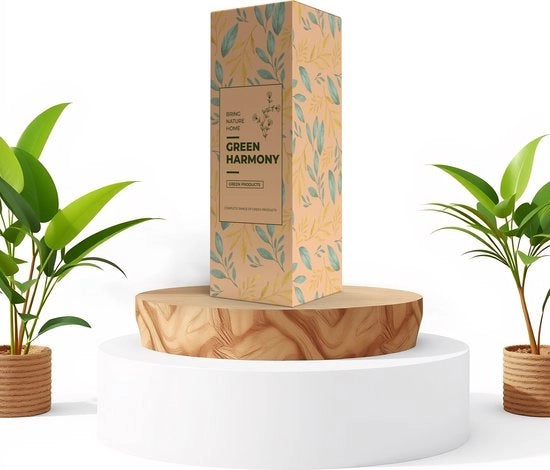 Terrario in vetro con lampada e Coffea, altezza 30 cm