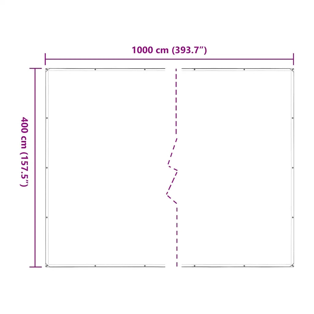 Telone Trasparente con Occhielli 4x10 m in Polietilene 4018522