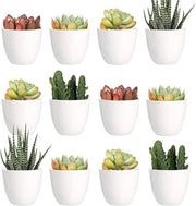 Mini vasi di plastica per piante - 24 pezzi - Vasi di giardino moderni bianchi - 5 cm