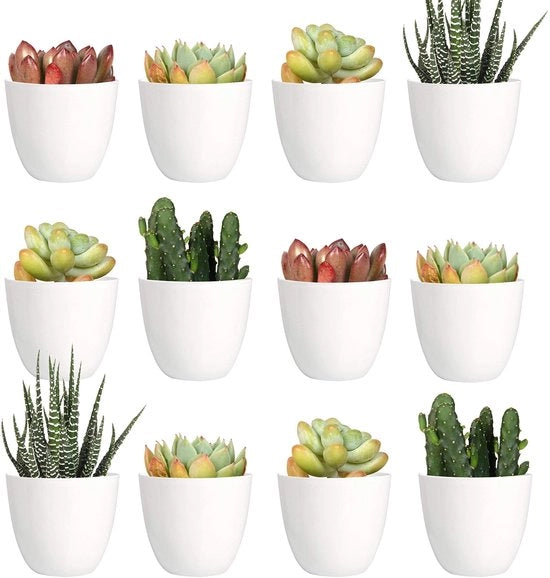 Mini vasi di plastica per piante - 24 pezzi - Vasi di giardino moderni bianchi - 5 cm