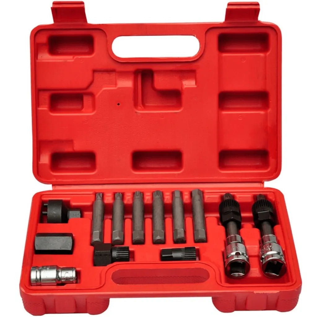 Kit di Attrezzi per Alternatore Auto 210031